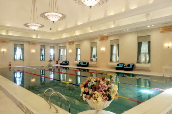 成都茶文化:猫哥带你品茗养生休闲时光(成都喝茶猫) 成都茶文化:猫哥带你品茗养生休闲时光(成都喝茶猫)